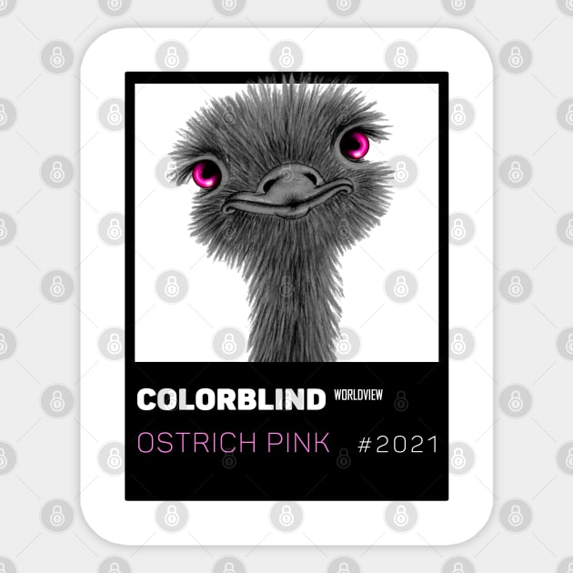 OSTRICH PINK - black card  by COLORBLIND WorldView Sticker by DREAM SIGNED Collection